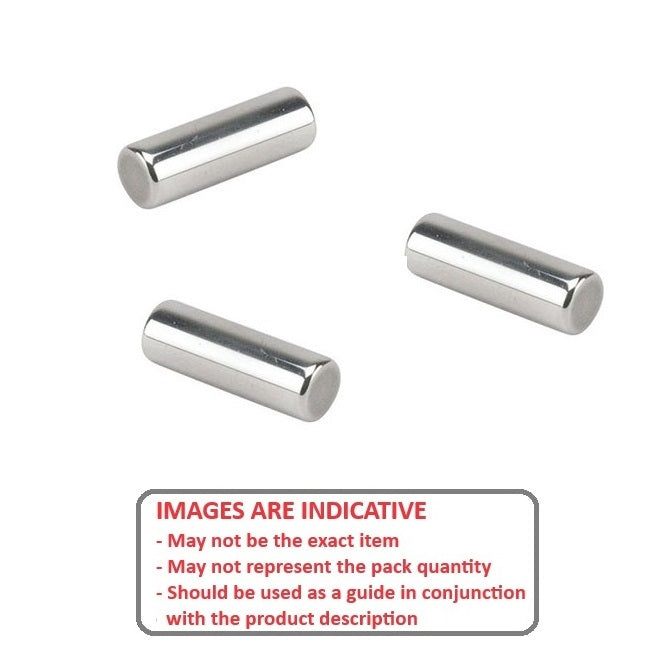 1039213 | RLR-0150-1900-ST-F (20 Pcs) --- Steel Rollers - 1.5x19 mm - 63 - 66 - Chrome Steel SAE 52100
