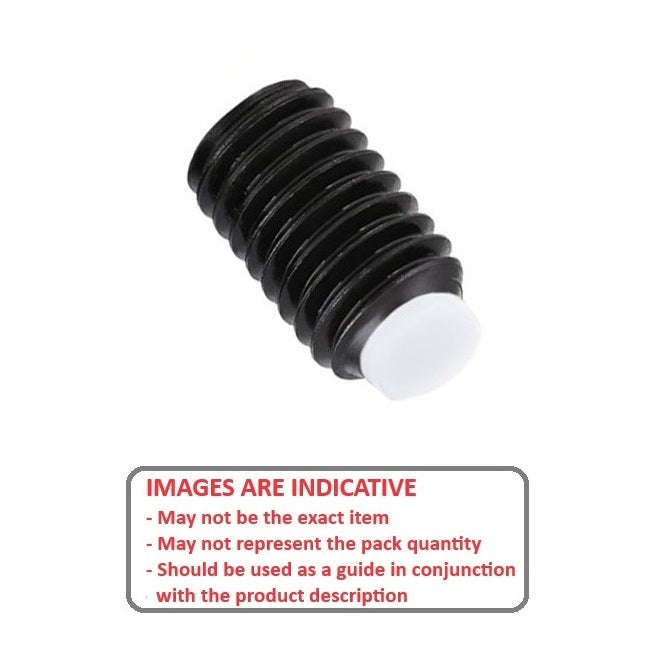 1051937 | SS040M-0060-AS-AT (2 Pcs) --- Acetal Tipped Socket Set Screws - M4 -4x0.7mm- 6 mm - Acetal Tipped - Carbon Steel