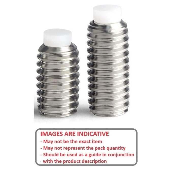 1054744 | SS040M-0120-S3-AT (2 Pcs) --- Acetal Tipped Socket Set Screws - M4 -4x0.7mm- 12 mm - Acetal Tipped - Stainless Steel 18-8 (Similar to A2, 303, 304)