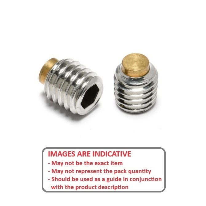 1042627 | SS022C-0064-S3-BT --- Brass Tipped Socket Set Screws - 2-56 UNC -2.18mm- 6.4 mm - Brass Tipped - Stainless Steel 18-8 (Similar to A2, 303, 304)