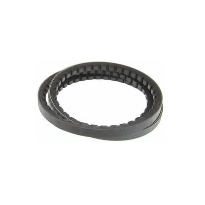 1219504 | BV12-00787-AX31 --- Vee Belts - 787.4 -31.0 in.- mm - - - - Natural Rubber - Raw Edge
