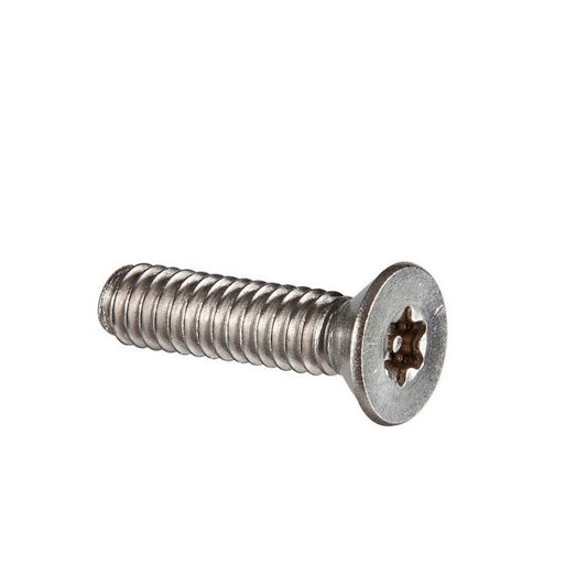 Security Screws - M4 -4x0.7mm- 12 mm - 304 Stainless