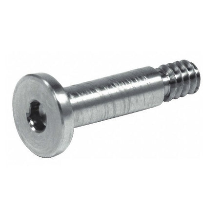 1061552 | SC050M-012-LS-C (50 Pcs) --- Large Shallow Head Screws - M5 -5x0.8mm- 12 mm - Carbon Steel