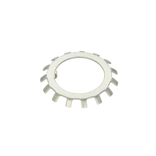 Lock Washers - 12x24.21 mm - 9 Nr. - Spring Steel